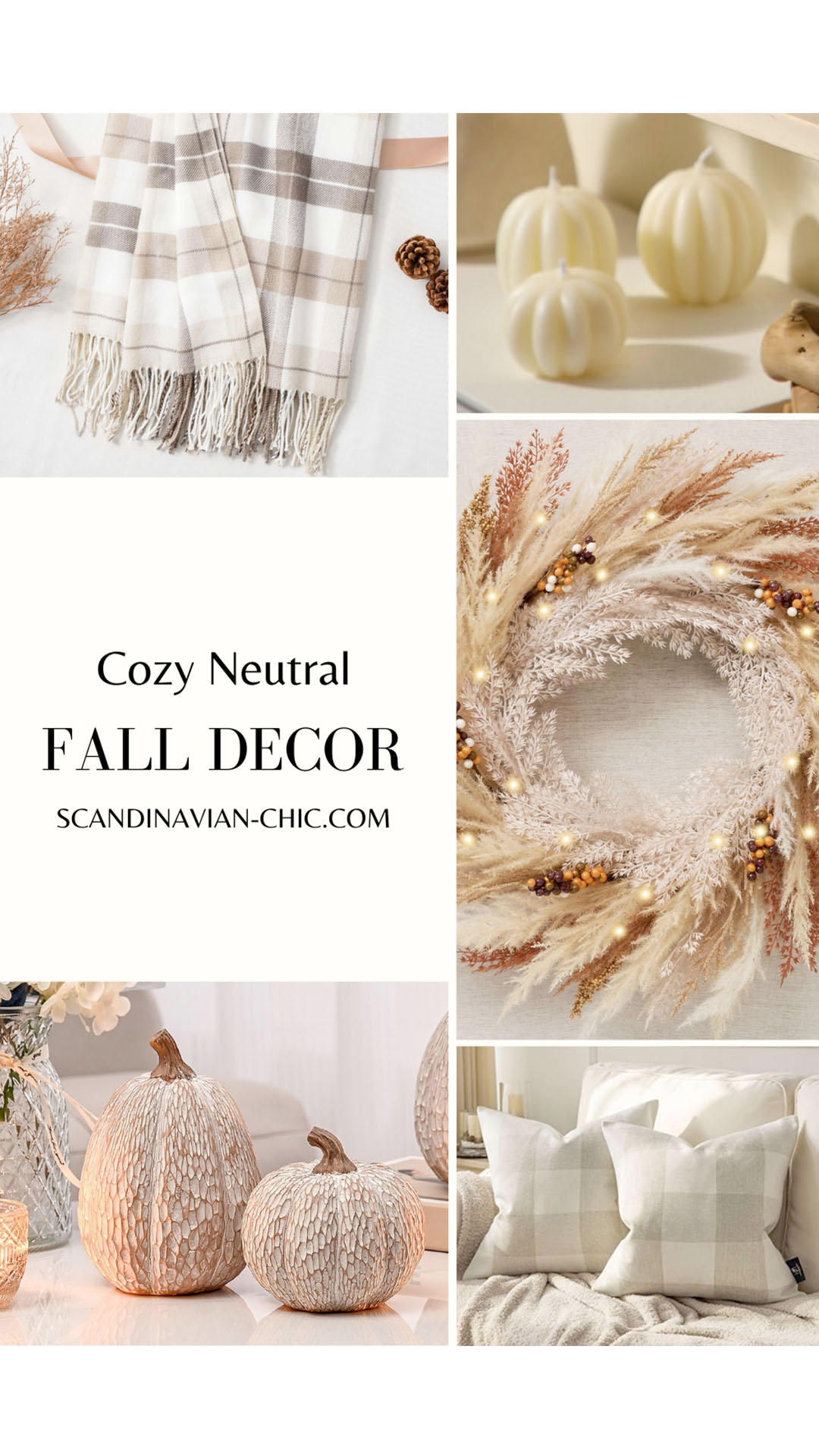 Cozy Neutral Fall Decor Essentials