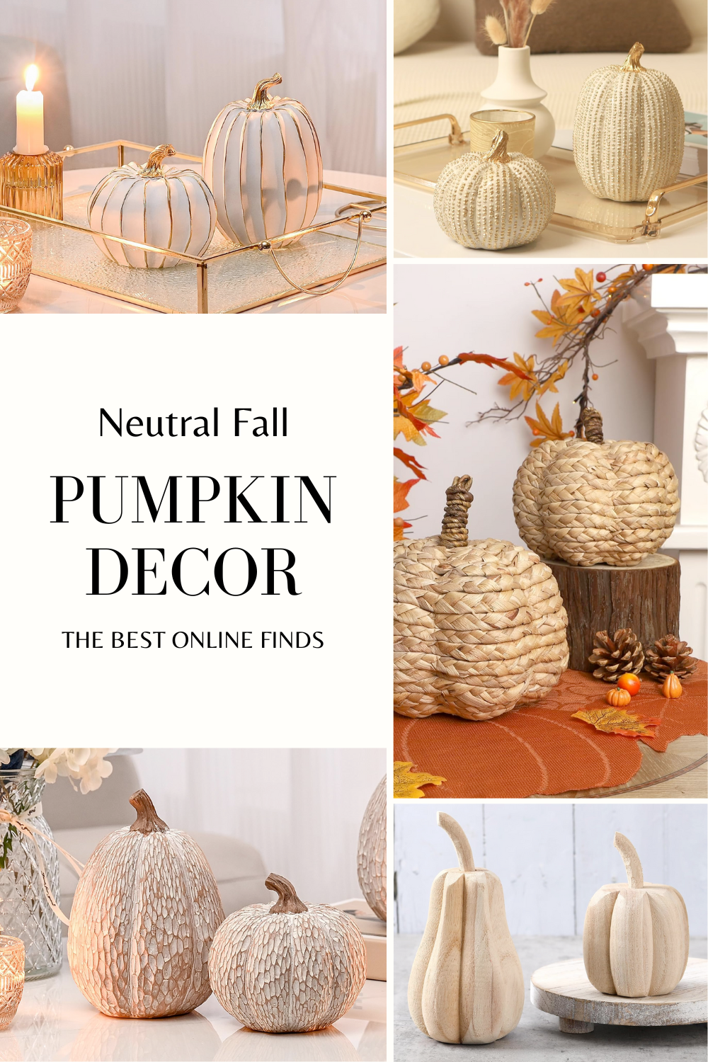 Neutral Pumkin Fall Decor